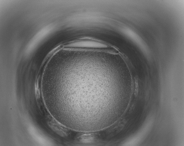 X0000081341198200701182012