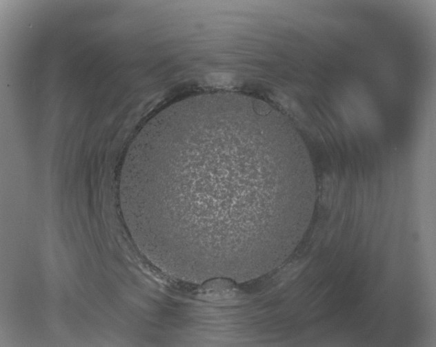 X0000081341201200701182011
