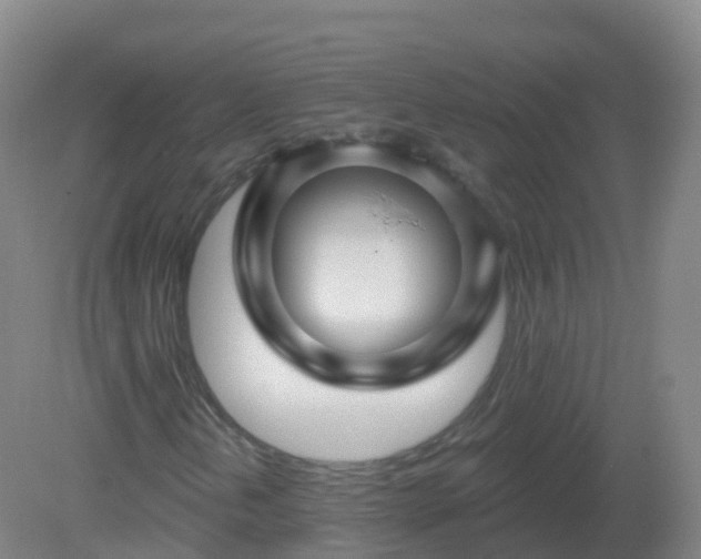 X0000081341202200701182011