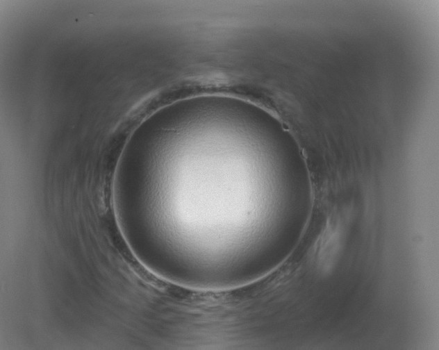 X0000081341205200701182011