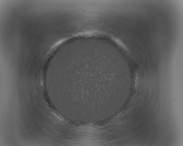 X0000081341206200701182011