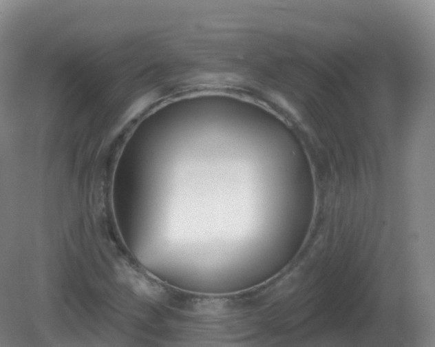 X0000081341211200701182012