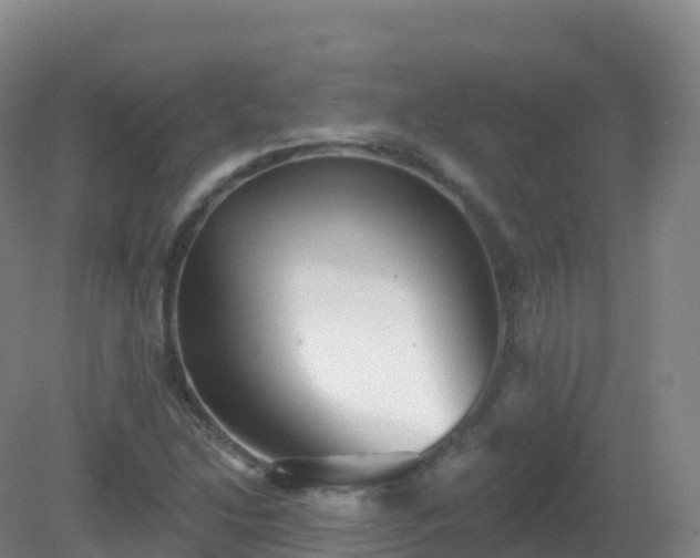 X0000081341214200701182012