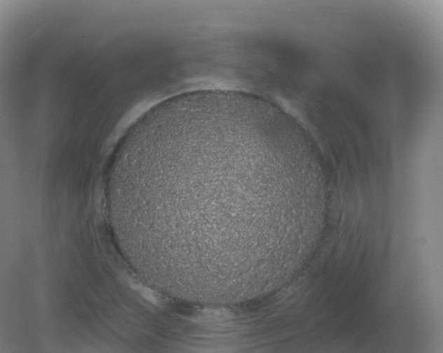X0000081341215200701182012