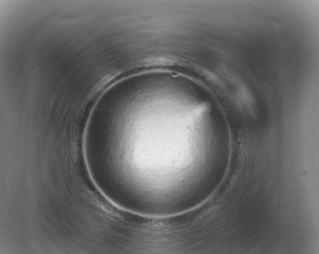 X0000081341217200701182012