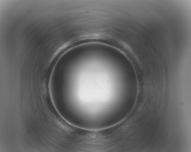 X0000081341218200701182012