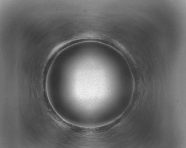 X0000081341222200701182012