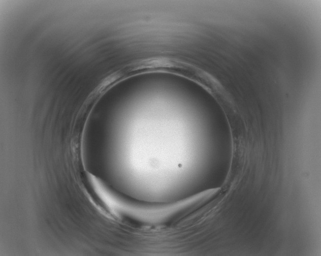 X0000081341225200701182012