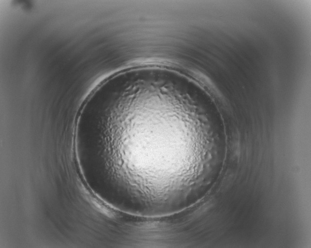 X0000081341228200701182012