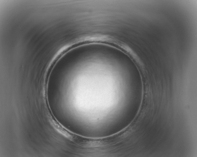X0000081341232200701182012