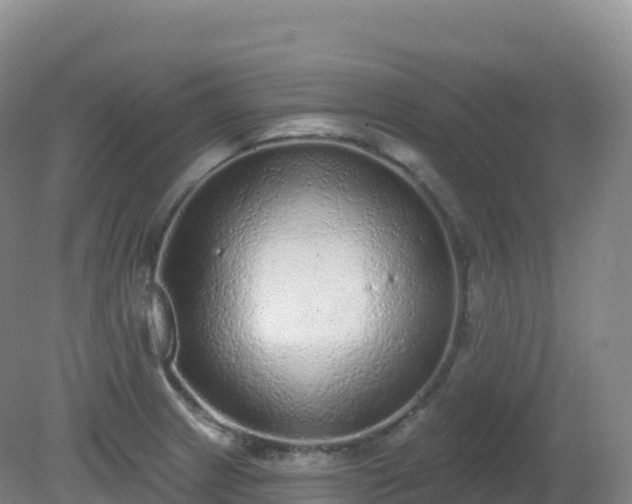 X0000081341233200701182012