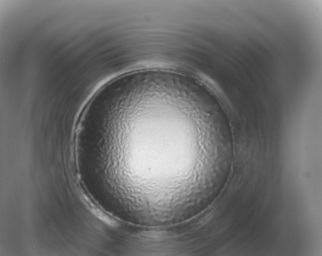 X0000081341236200701182012