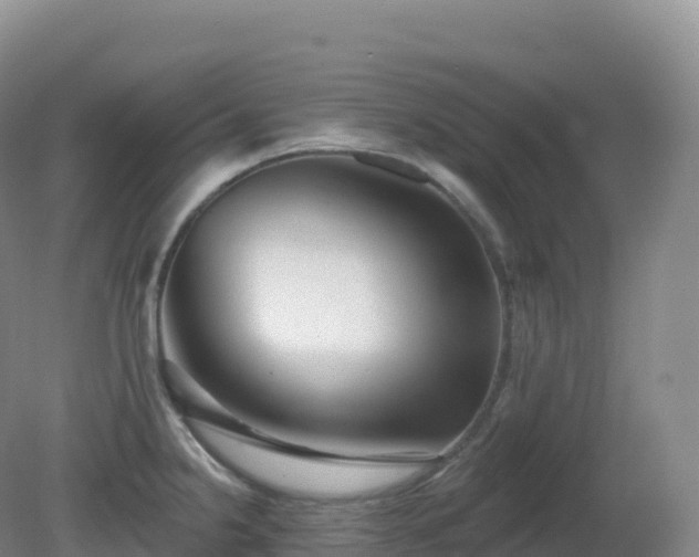 X0000081341238200701182012