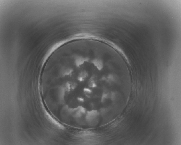 X0000081341239200701182012