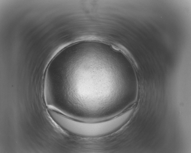 X0000081341244200701182012