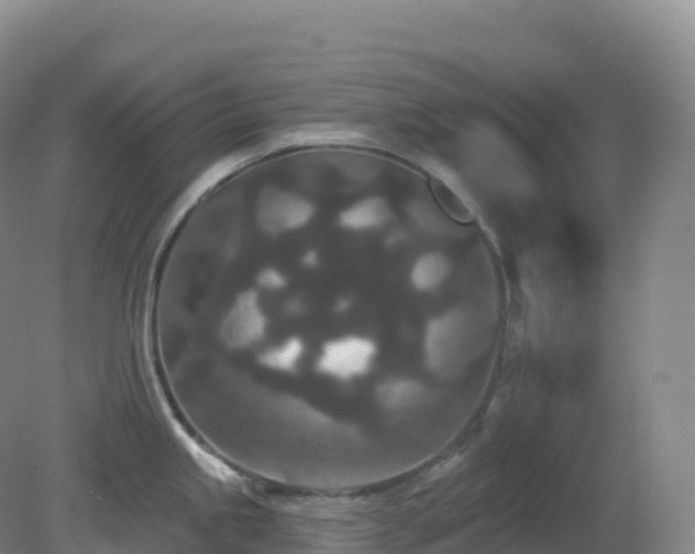 X0000081341245200701182012