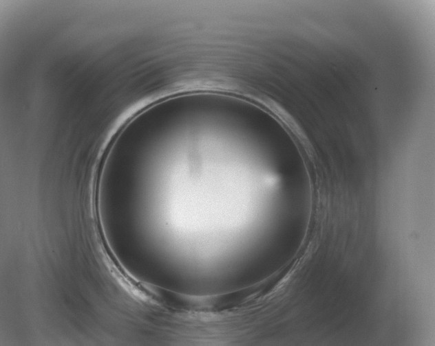 X0000081341246200701182012