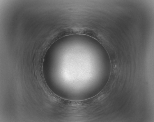 X0000081341249200701182011