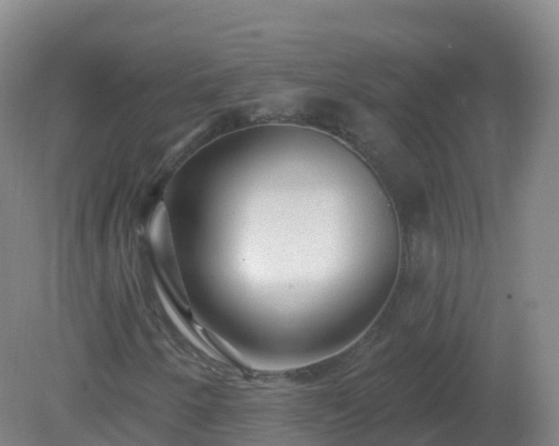 X0000081341250200701182011