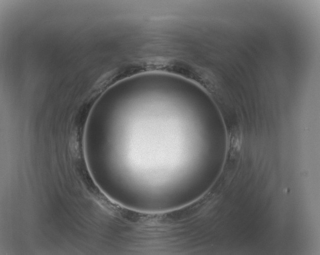 X0000081341252200701182011