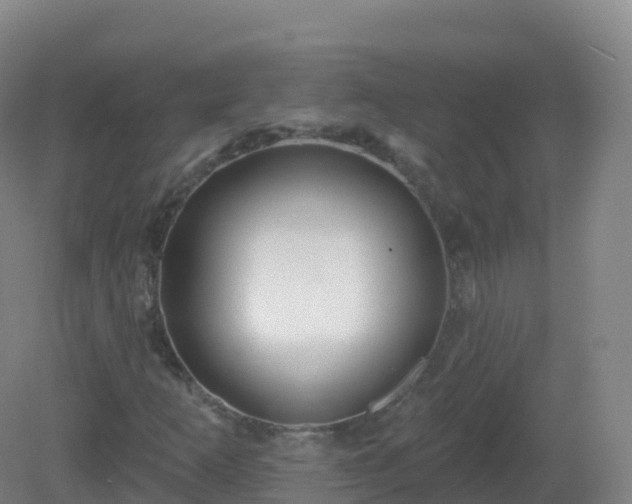X0000081341253200701182011