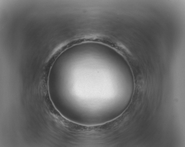 X0000081341256200701182011