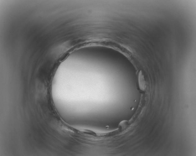 X0000081341257200701182011