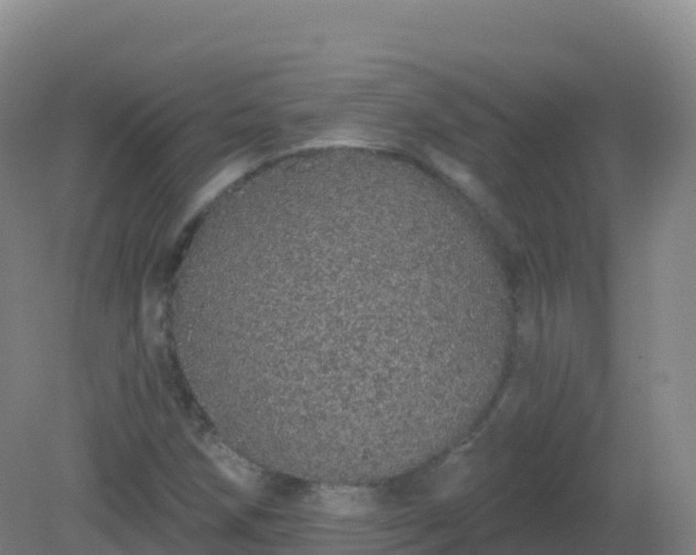 X0000081341258200701182011