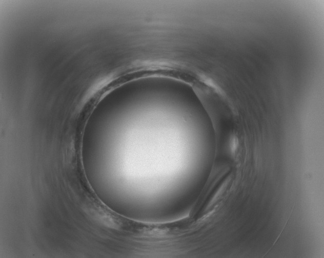 X0000081341261200701182011