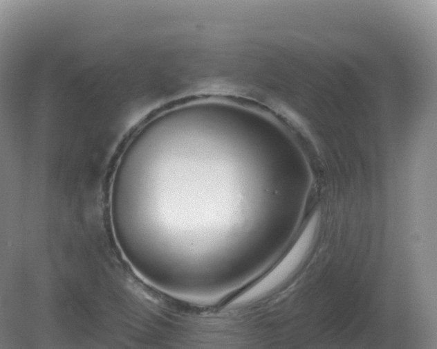 X0000081341264200701182011