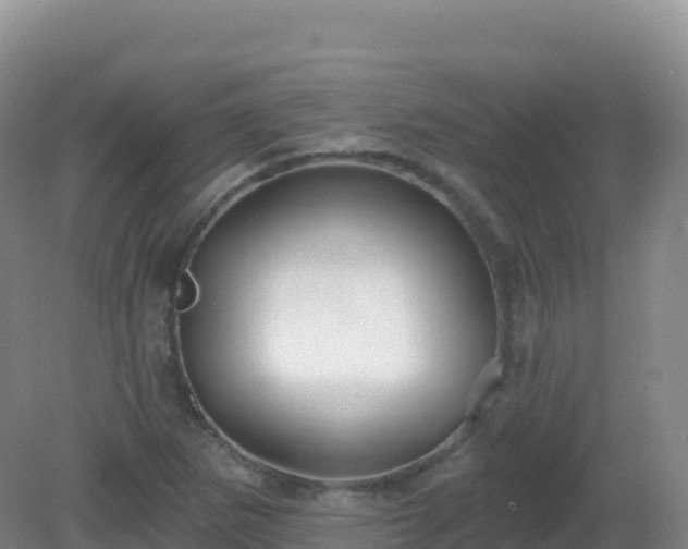 X0000081341265200701182011