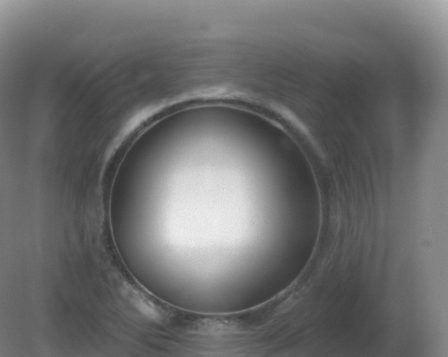 X0000081341270200701182011