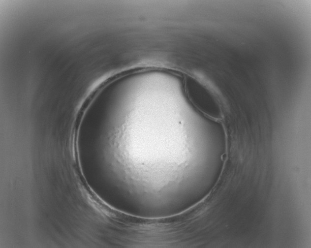 X0000081341272200701182011