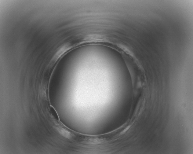X0000081341273200701182011