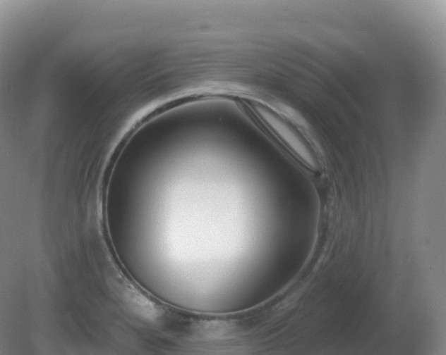 X0000081341280200701182011
