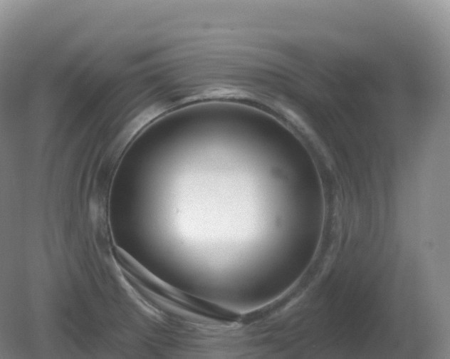 X0000081341281200701182011