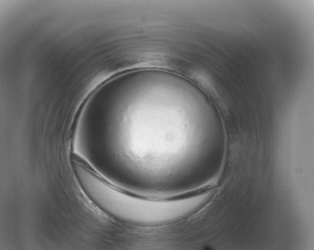 X0000081341284200701182011