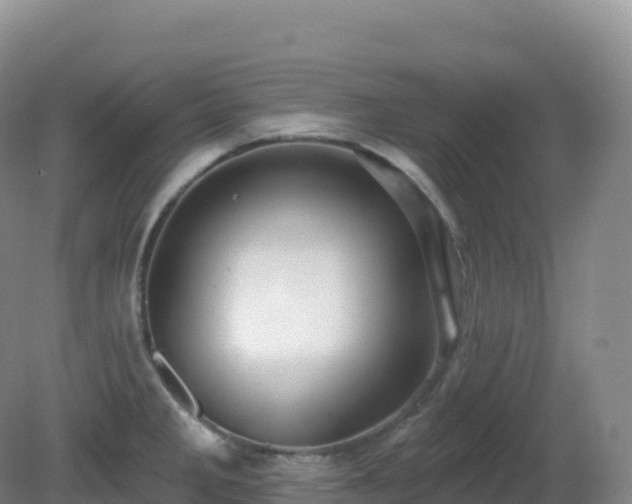 X0000081341285200701182011