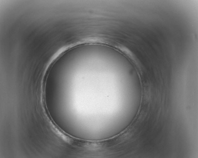X0000081341286200701182011