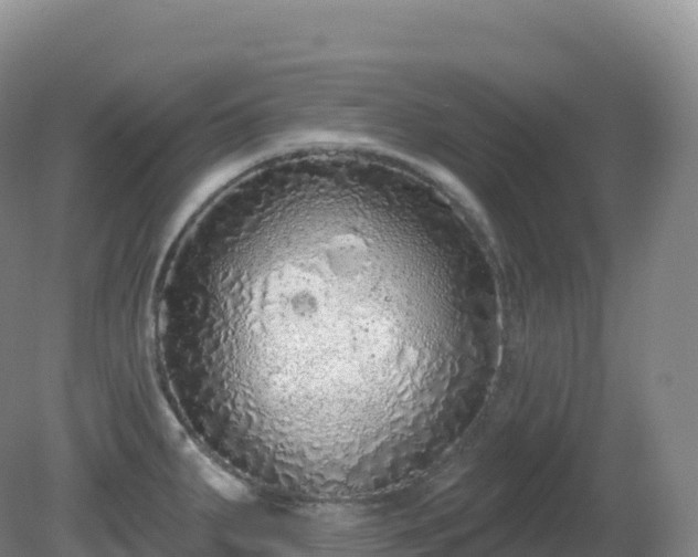 X0000081341287200701182011