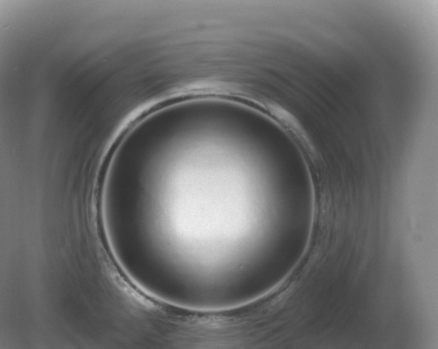 X0000081341288200701182011