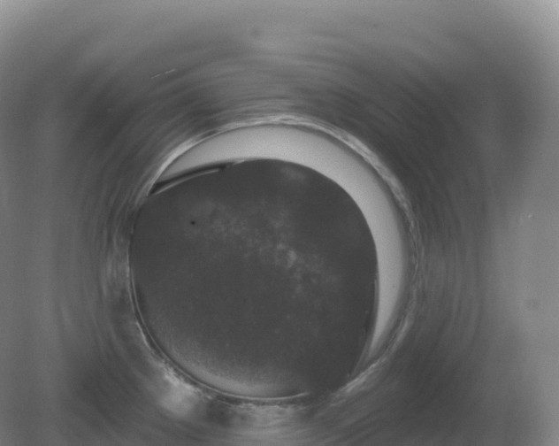 X0000081341289200701182011