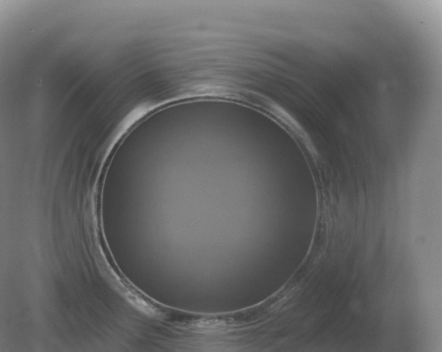 X0000081341291200701182011
