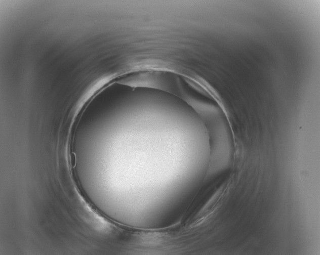 X0000081341293200701182011