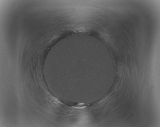 X0000081341297200701182010