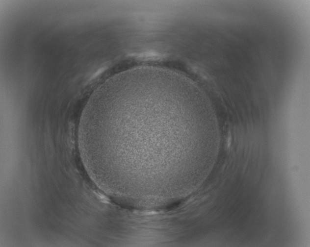 X0000081341301200701182010