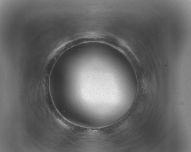 X0000081341304200701182010