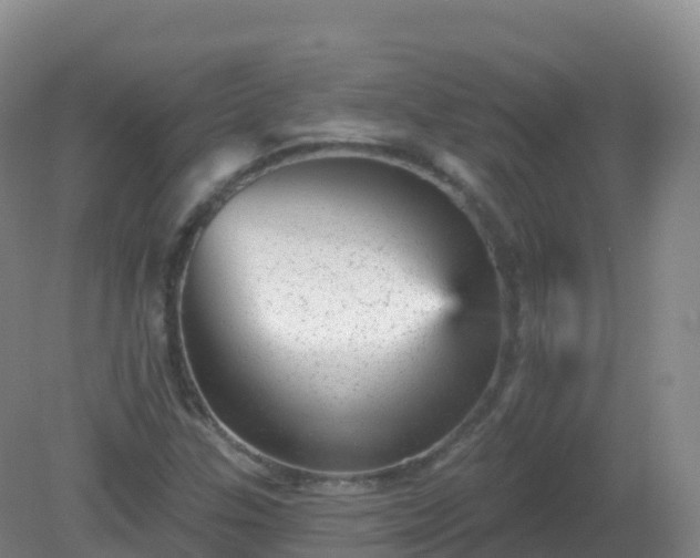 X0000081341307200701182010