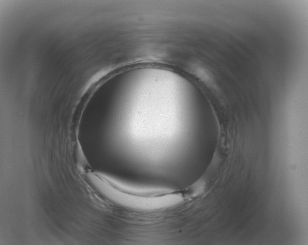 X0000081341308200701182010