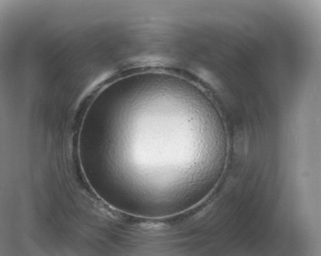X0000081341309200701182010